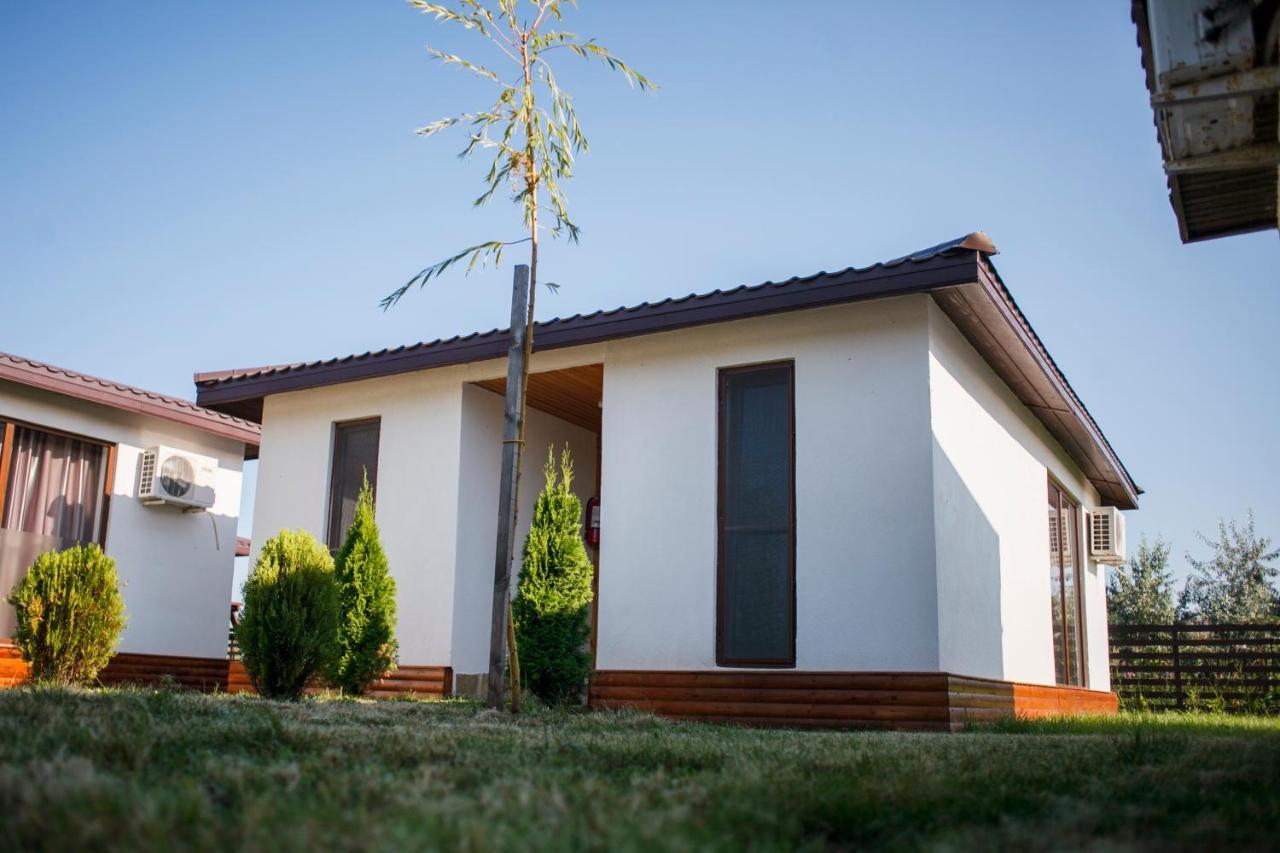 Marina Surf Ξενοδοχείο Năvodari Εξωτερικό φωτογραφία